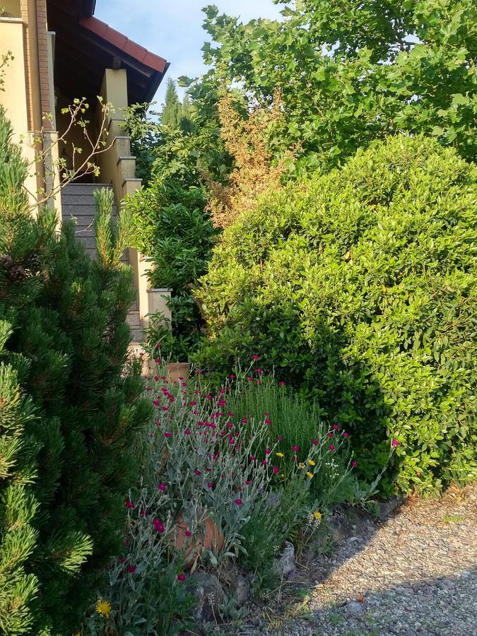 Ferienwohnung Wohnen im orientalischen Ambiente Harthausen  Exterior foto
